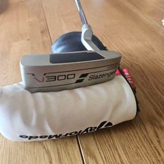 Putter with head cover