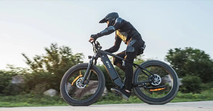 DYU King 750 Mountain E-Bike