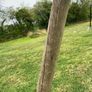 Swing set Image 4