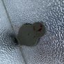 Large Whirlpool Chest Freezer Image 10
