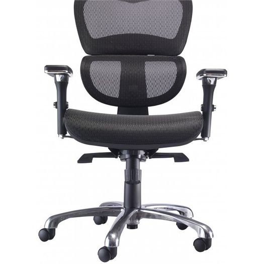 Chiachi Ergonomic High Back Managers Mesh Chair and Mesh Seat With Head Rest