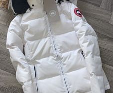 Canada goose