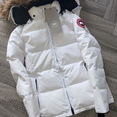 Canada goose