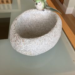Small bird bath