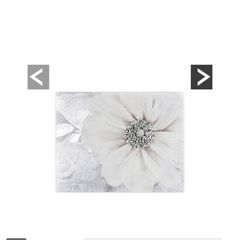 wall art canvas
