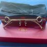 Cartier Sunglasses Image 4