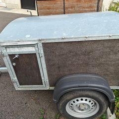 Dog trailer