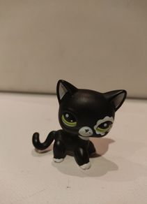 Littlest Pet Shop Shorthair Blythe Photoshoot Cat #2249 Rare
