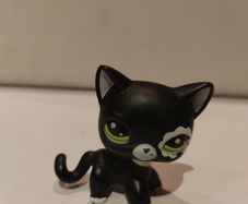 Littlest Pet Shop Shorthair Blythe Photoshoot Cat #2249 Rare