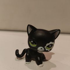 Littlest Pet Shop Shorthair Blythe Photoshoot Cat #2249 Rare
