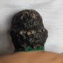 WWF LJN Billy Jack Haynes Rubber Wrestler 1987 Image 6