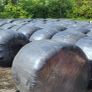 Silage and Haylage Bales Image 2