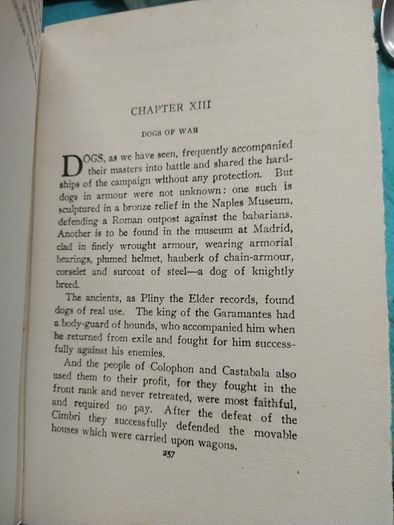 The Book of Noble Dogs - Estelle Ross
