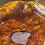 big solid frog money box Image 5