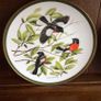 Vintage Franklin Porcelian woodland birds of the world 10 inch decorative plates Image 2