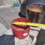 plant pots Image 4