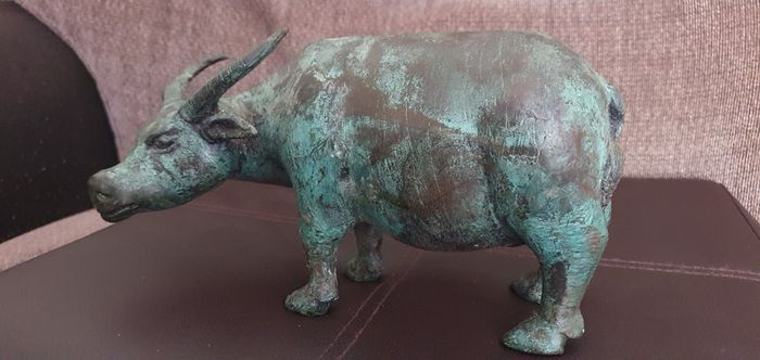 Cooper  cow (bull)