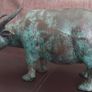Cooper  cow (bull) Image 4