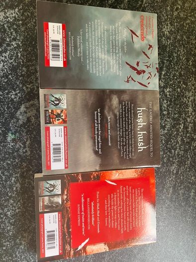 YA book bundle