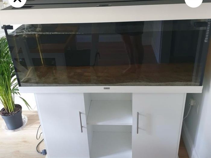 Jewel 240L aquarium