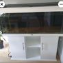 Jewel 240L aquarium Image 3