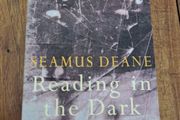 reading in the dark by seamus deane