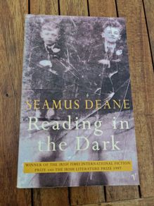 reading in the dark by seamus deane