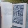 The Carnivorous Plants (paperback) Image 7