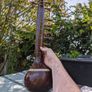 Sitar Image 3