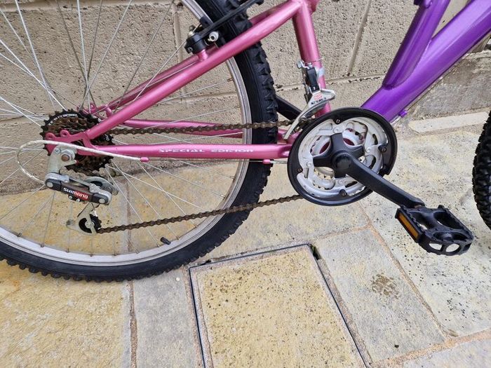 Suspension mountain bike