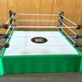WWE Bloodline Rules Wrestlemania XL wrestling ring Image 2