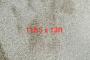 carpet 11ft5 x 13ft
