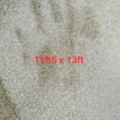carpet 11ft5 x 13ft