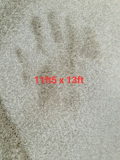 carpet 11ft5 x 13ft