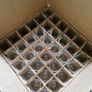 Box of brand new 1950s sherry glass, 36 in total. Image 2