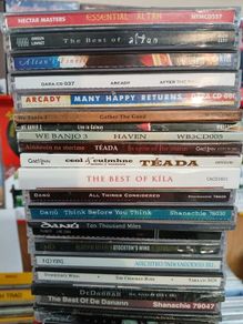 irish music ( Trad Irish bands)