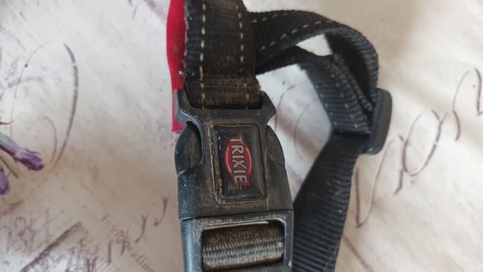 Dog harness