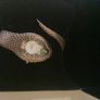 Just Cavalli Rose Gold Dress Watch Image 8