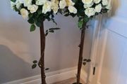 Two Rose Trees for Hire/Rent