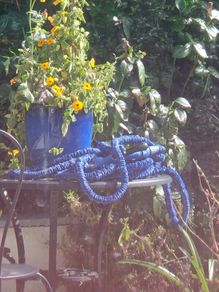 Scrunchy garden hose