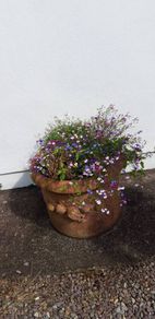 Beautiful Large Garden Planter/Pot