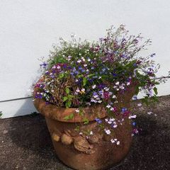 Beautiful Large Garden Planter/Pot