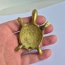 Brass Tortoise Image 5