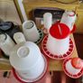 Hen, chicken -  feeders , heat plates etc Image 4