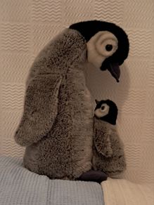 Penguin and chick.