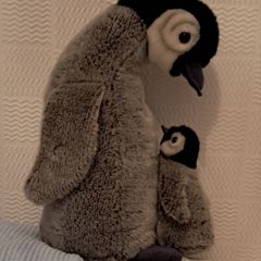 Penguin and chick.