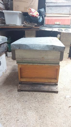 Red Deal National Beehives