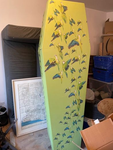 cardboard coffin for sale