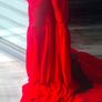long dress Image 4