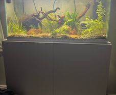 105L fish tank open to offers